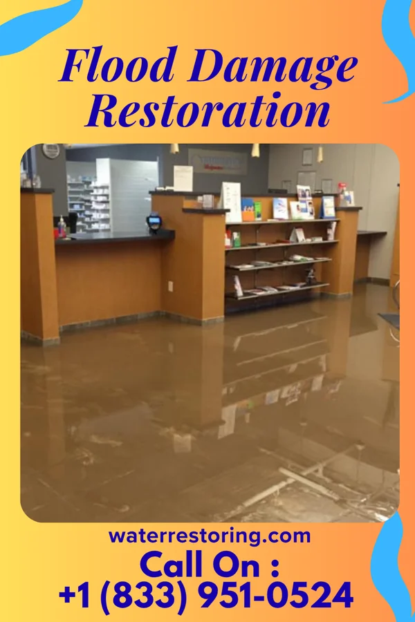 Flood Damage Restoration in Hayneville, AL